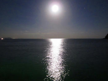 IMG_0700.jpg