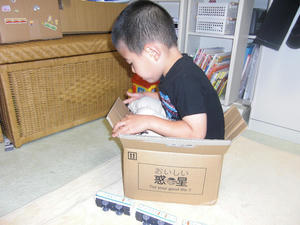 27c1d489.jpg