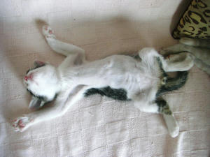 CIMG0773.JPG