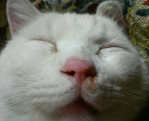 200803142301000.jpg