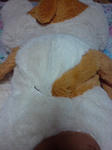 20100812193149.jpg