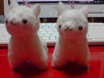 20101014231541.jpg