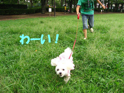 IMG_1564_R.jpg