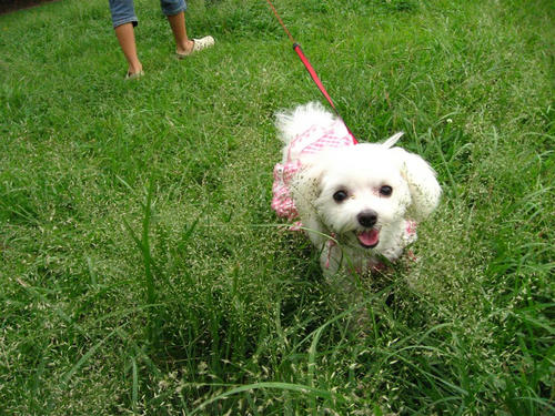 IMG_1567_R.jpg