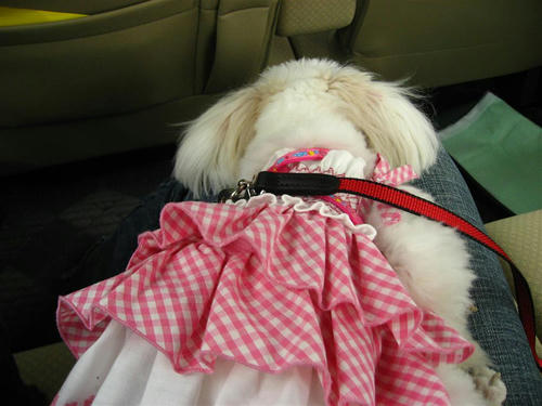 IMG_1582_R.jpg