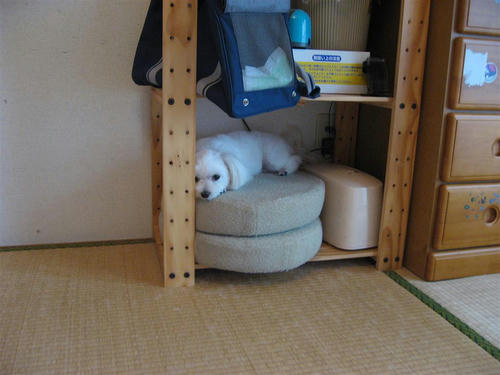 IMG_1375_R.jpg