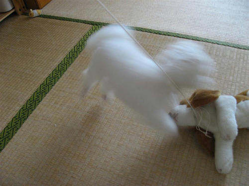 IMG_1640_R.jpg