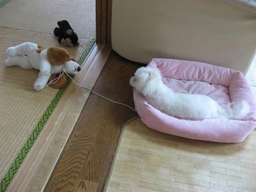 IMG_1648_R.jpg