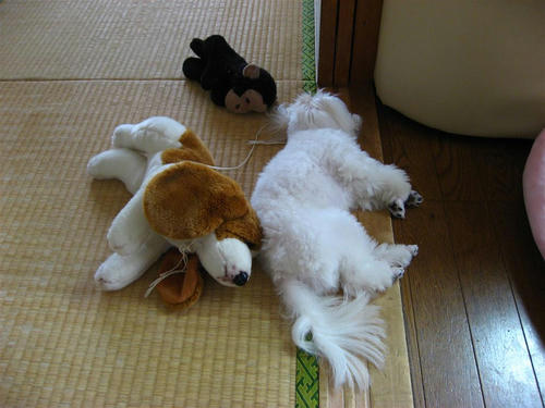 IMG_1657_R.jpg
