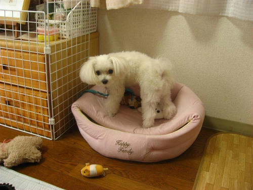 IMG_1829_R.jpg
