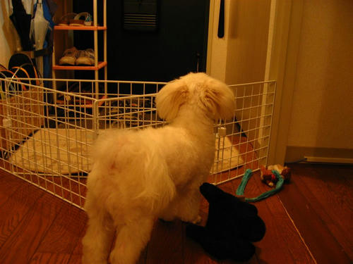 IMG_1878_R.jpg