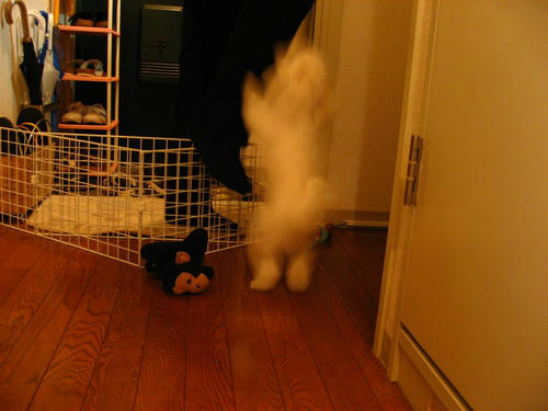 IMG_1882_R.jpg