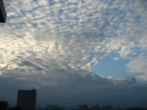 IMG_1874_R.jpg