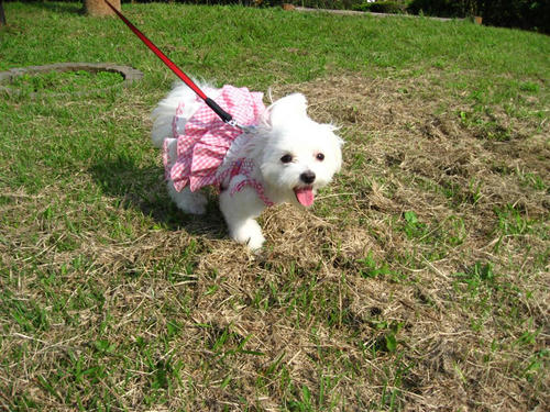 IMG_2022_R.jpg