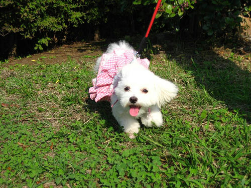 IMG_2025_R.jpg