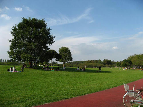 IMG_2040_R.jpg