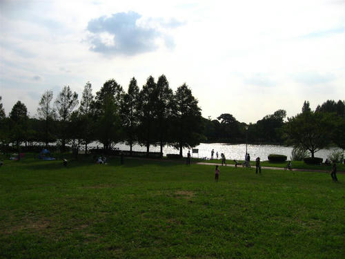 IMG_2049_R.jpg