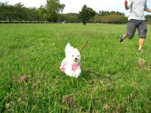 IMG_2066_R.jpg