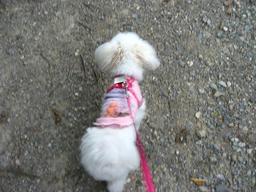 IMG_2259_R.jpg