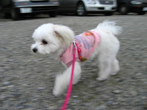 IMG_2260_R.jpg