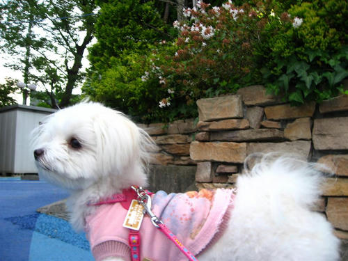 IMG_2262_R.jpg