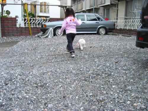 IMG_2277_R.jpg