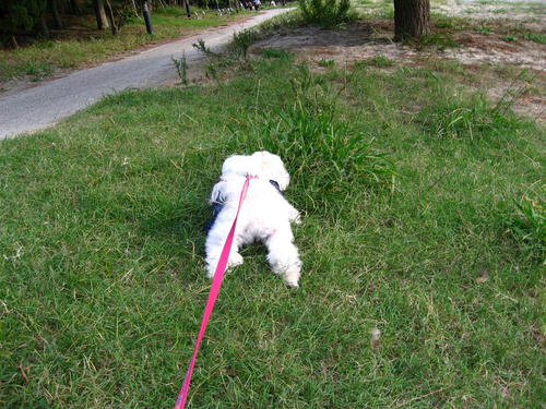 IMG_2333_R.jpg