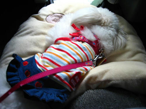IMG_2362_R.jpg