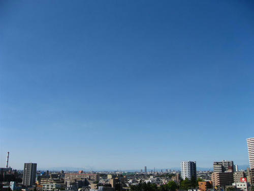 IMG_2616.jpg