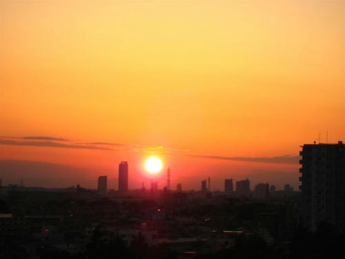 IMG_2667.jpg