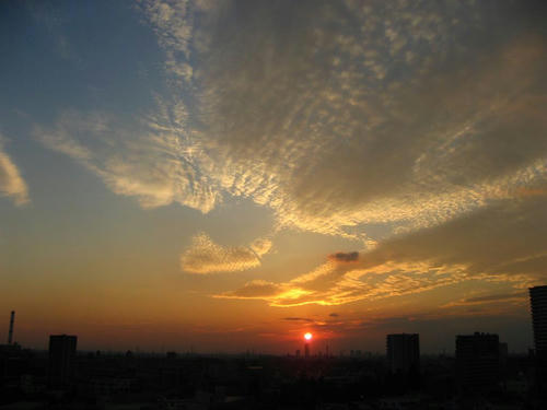 IMG_2741.jpg