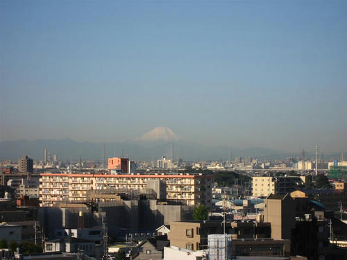 IMG_2858.jpg