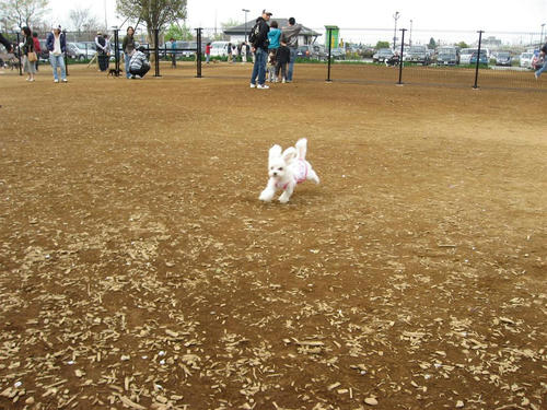 IMG_0710.jpg