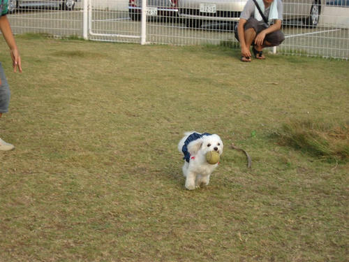 IMG_1139.jpg