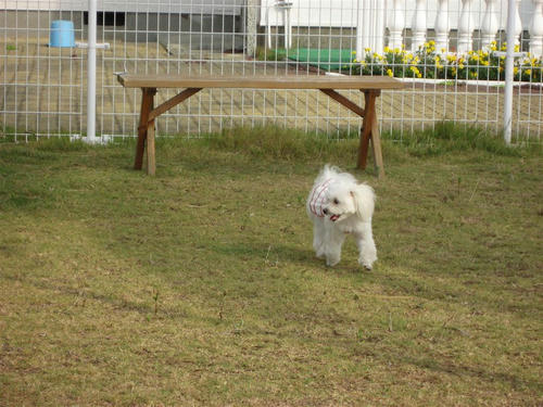 IMG_1203.jpg