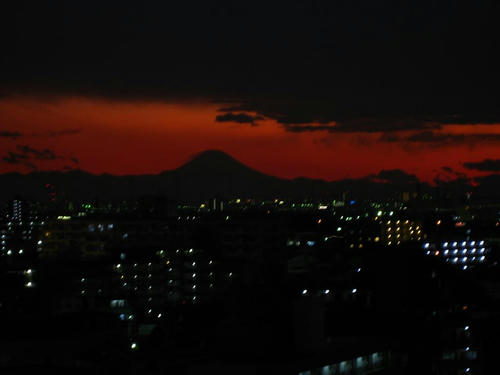 IMG_3288.jpg