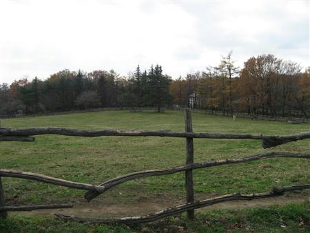 IMG_3415.jpg