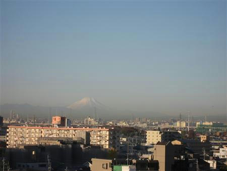 IMG_3977.jpg