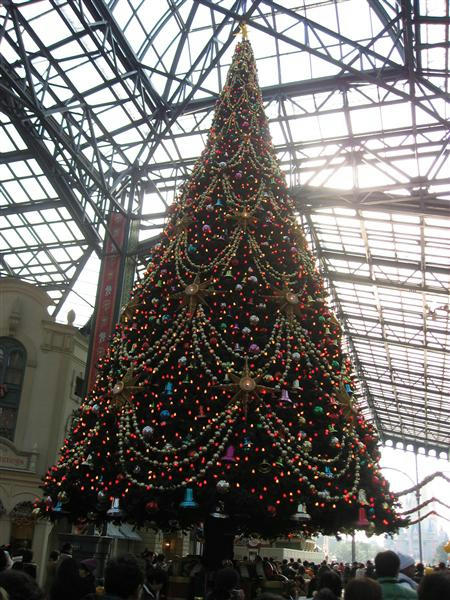 IMG_4023.jpg