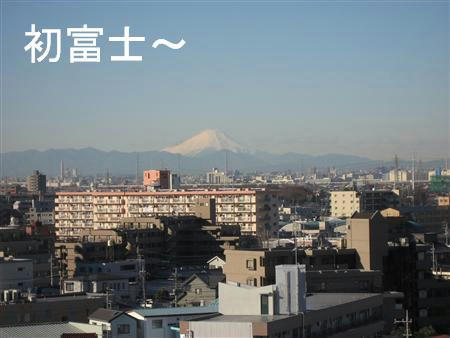 IMG_4805.jpg