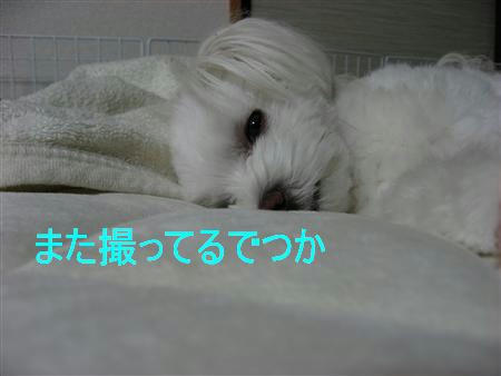 IMG_4917.jpg