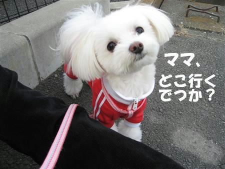 IMG_4954_R.jpg