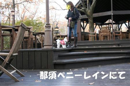 IMG_1904_R.jpg