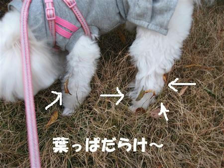 IMG_5043_R.jpg
