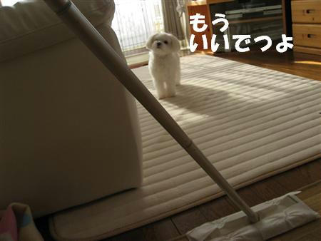 IMG_5186_R.jpg