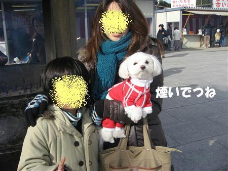 IMG_5245_R.jpg