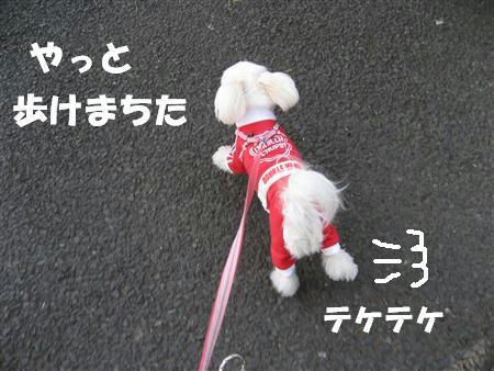 IMG_5266_R.jpg