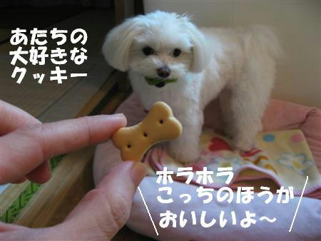 IMG_5370_R.jpg