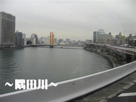 IMG_5498_R.jpg