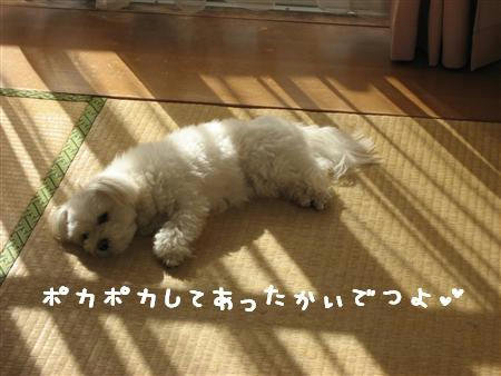 IMG_5583_R.jpg